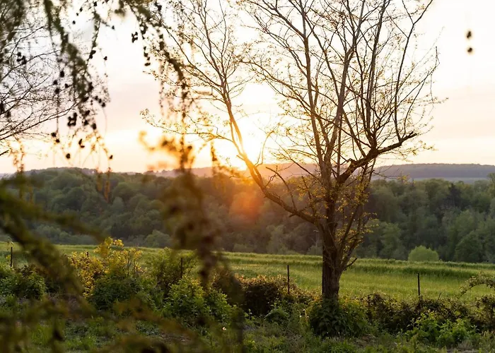 Tente de luxe Cellsphair *